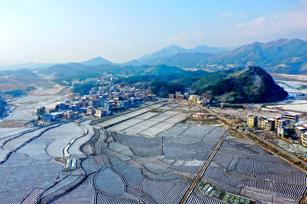 永州新田县图片