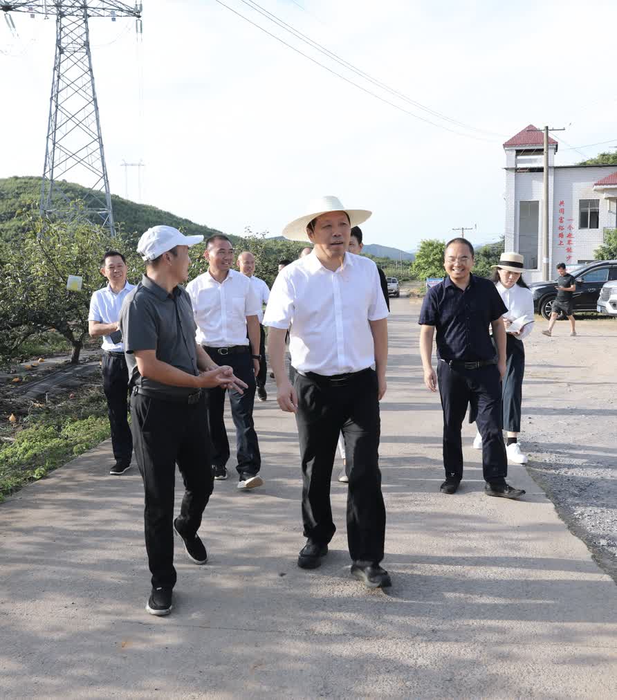 金年会段贵建调研防溺水、道路交通、农业产业和生态环保等工作